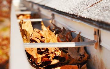 Bramhall gutter cleaning companies